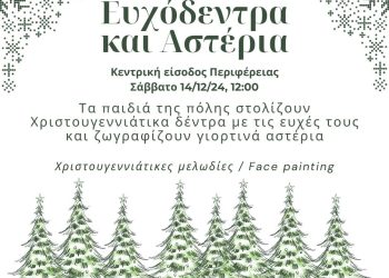 Ευχόδεντρα και αστέρια σε μια χριστουγεννιάτικη δράση από το δήμο Ιωαννιτών