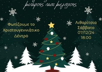 Ο Δήμος Ιωαννιτών φωταγωγεί το χριστουγεννιάτικο δέντρο στα Λιθαρίτσια