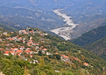 Ανοιχτή επιστολή με πρωτοβουλία των κατοίκων του Αθαμανίου για αδέσποτα βοοειδή