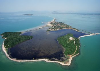 Συνεχής η παρακολούθηση του οικοσυστήματος του Αμβρακικού (Απάντηση αντιπεριφερειάρχη Π.Ε. Άρτας κ. Β. Ψαθά σε επερώτηση»