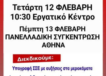 Συνδικάτο οικοδόμων Ιωαννίνων: 48ωρη πανοικοδομική πανελλαδική απεργία 12 και 13 Φλεβάρη