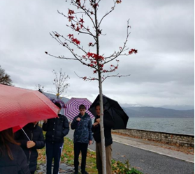 Το αεροσκάφος με προορισμό την οικολογία απογειώνεται – Μία πτήση χωρίς επιστροφή