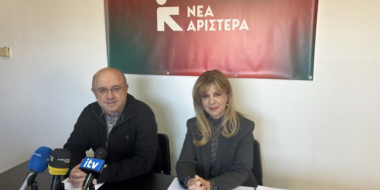 Νέα Αριστερά Ιωαννίνων: Νομαρχιακή συνέλευση και εκλογές