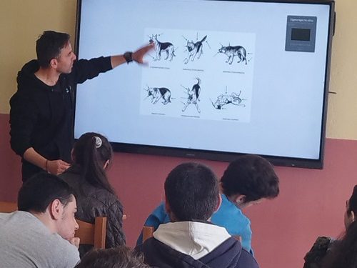 Ενημέρωση για τα αδέσποτα στο 1ο ειδικό σχολείο Άρτας