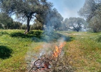Δήμος Αρταίων: Ανακοίνωση για αποφυγή καύσης ξερών κλαδιών