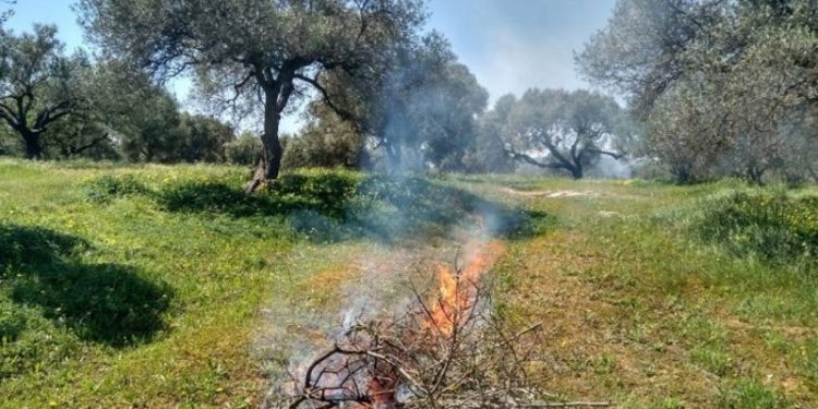 Δήμος Αρταίων: Ανακοίνωση για αποφυγή καύσης ξερών κλαδιών