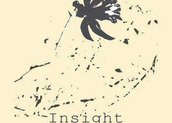 Insight – Ερευνητικό project στον ισόγειο χώρο της Ζωσιμαίας δημόσιας κεντρικής ιστορικής βιβλιοθήκης Ιωαννίνων