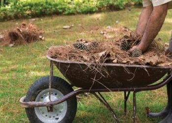 Καθαρισμός Οικοπέδων για την αντιπυρική προστασία