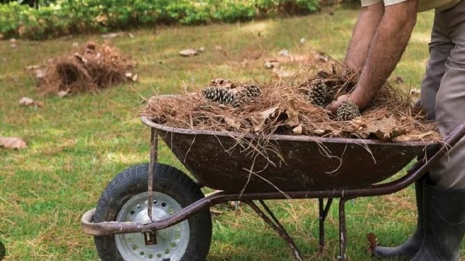 Καθαρισμός Οικοπέδων για την αντιπυρική προστασία