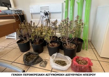 Συνελήφθη ημεδαπός για καλλιέργεια και κατοχή ναρκωτικών σε περιοχή της Πρέβεζας