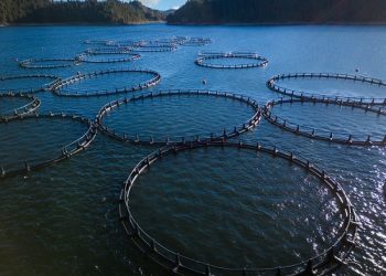 Έναρξη υποβολής αιτήσεων στο πρόγραμμα  «Παραγωγικές επενδύσεις στην υδατοκαλλιέργεια»