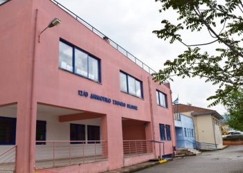 “Καραγκιόζης – Βιωματική Εμπειρία του Θεάτρου Σκιών με Έκθεση Φιγούρων-Παράσταση/παραστάσεις Καραγκιόζη, στο Δημοτικό Σχολείο Πεδινής Ιωαννίνων”.