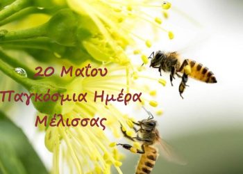 Παγκόσμια ημέρα της Μέλισσας