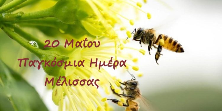 Παγκόσμια ημέρα της Μέλισσας