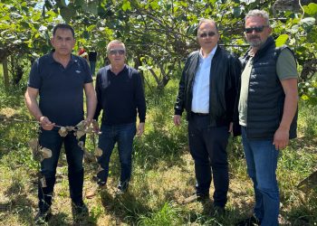 Γιώργος Στύλιος – Ένα καλό νέο για την Άρτα. Επιπλέον αποζημιώσεις για τις ζημιές των παραγωγών κατά το 2023 μέσω του Προγράμματος Κρατικών Οικονομικών Ενισχύσεων