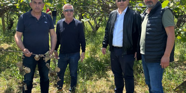 Γιώργος Στύλιος – Ένα καλό νέο για την Άρτα. Επιπλέον αποζημιώσεις για τις ζημιές των παραγωγών κατά το 2023 μέσω του Προγράμματος Κρατικών Οικονομικών Ενισχύσεων
