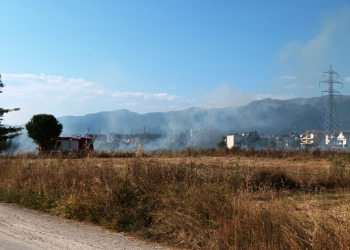 Φωτιά σε χορτολιβαδική έκταση στα Καρδαμίτσια