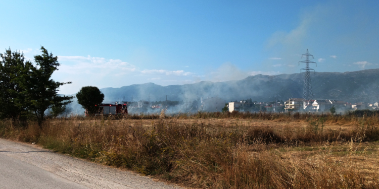 Φωτιά σε χορτολιβαδική έκταση στα Καρδαμίτσια