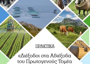 Περίληψη Ημερίδας «Διέξοδοι στα Αδιέξοδα του Πρωτογενούς Τομέα Παραγωγής»