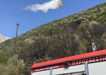 “Υποδειγματικός Συντονισμός και Άμεση Επέμβαση στην Πυρκαγιά της Τ.Κ. Σκεπαστού – Τα Συγχαρητήρια του Δημάρχου Πάργας”