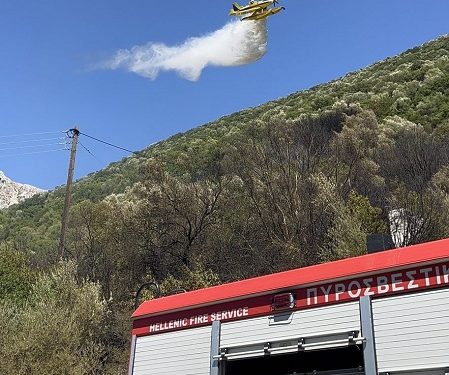 “Υποδειγματικός Συντονισμός και Άμεση Επέμβαση στην Πυρκαγιά της Τ.Κ. Σκεπαστού – Τα Συγχαρητήρια του Δημάρχου Πάργας”