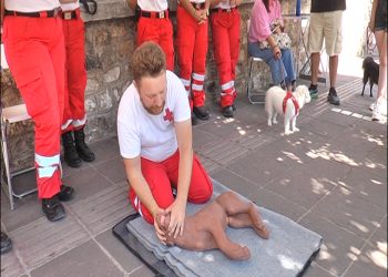 Πως να σώσουμε το σκύλο μας…Βίντεο πρώτων βοηθειών απο τον Ε.Ε.Σ. Ι ωαννίνων