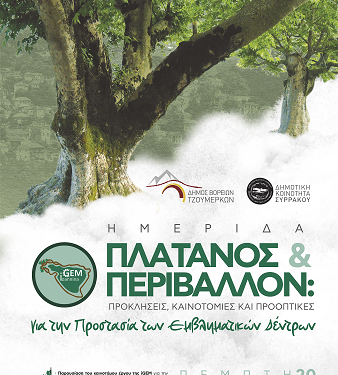 Ημερίδα για την προστασία των πλατάνων στο Συρράκο