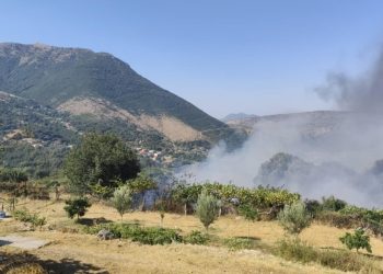 Υπό έλεγχο οι πυρκαγιές σε Δαφνωτή, Αμμότοπο, Σκούπα, Γραμμενίτσα και πλησίον του Χανοπούλου