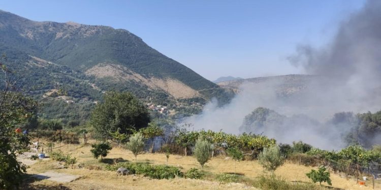 Υπό έλεγχο οι πυρκαγιές σε Δαφνωτή, Αμμότοπο, Σκούπα, Γραμμενίτσα και πλησίον του Χανοπούλου