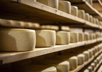 MeDInno II: Διασυνοριακή συνεργασία για την προστασία της αυθεντικότητας των αγροδιατροφικών προϊόντων στην Ελλάδα και την Ιταλία