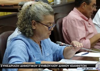 Δ.Σ. λογοδοσίας, Τατιάνα Καλογιάννη: Πάρκο Πυρσινέλλα:Κόστος λειτουργίας και συντήρησης& δημιουργία διακριτής Διεύθυνσης Πρασίνου