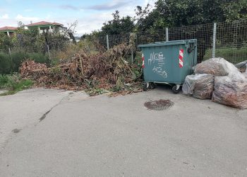 Δήμος Αρταίων – Υπηρεσία Καθαριότητας: Έκκληση για σωστή διαχείριση των κλαδεμάτων Συνεχίζονται οι παρεμβάσεις καθαρισμού