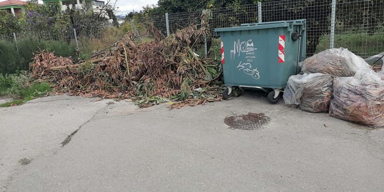 Δήμος Αρταίων – Υπηρεσία Καθαριότητας: Έκκληση για σωστή διαχείριση των κλαδεμάτων Συνεχίζονται οι παρεμβάσεις καθαρισμού