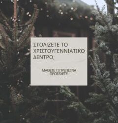 Στολίζετε το Χριστουγεννιάτικο δέντρο; Μάθετε τι πρέπει να προσέχετε!