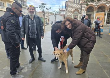 Δωρεάν επιτόπια τσιπαρίσματα και ενημερωτικοί έλεγχοι για ζώα συντροφιάς στην Άρτα