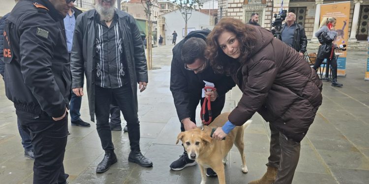 Δωρεάν επιτόπια τσιπαρίσματα και ενημερωτικοί έλεγχοι για ζώα συντροφιάς στην Άρτα