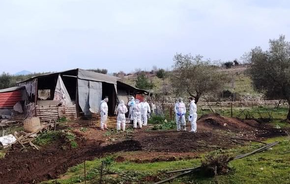 Εργασίες για τα άρρωστα από ευλογιά zώα στην περιοχή της Βαλανιδορραχης Πρεβεζας