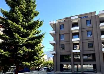 Ξεκίνησε η λειτουργία του Κέντρου Ημέρας Ολικής Φροντίδας για Άνοια/Alzheimer στα Ιωάννινα