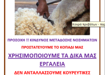 Οδηγίες για μέτρα βιοασφάλειας κατά την κουρά των ζώων και αποτροπή της διασποράς νοσημάτων