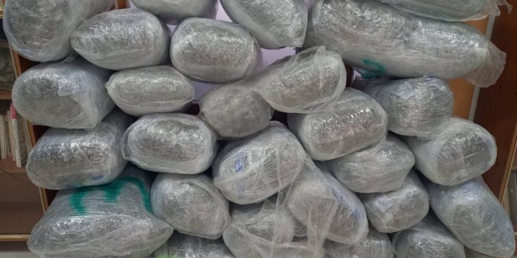 Mετέφερε με αυτοκίνητο 167,2 κιλά ακατέργαστης κάνναβης