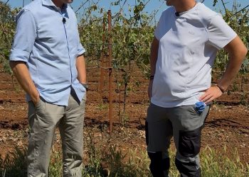 Αυτοψία του Γιώργου Αμυρά στην αμπελουργική ζώνη της Ζίτσας