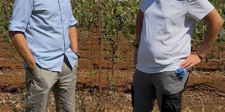 Αυτοψία του Γιώργου Αμυρά στην αμπελουργική ζώνη της Ζίτσας