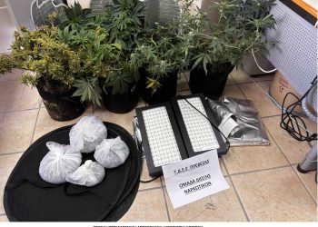 Συνελήφθη ημεδαπός για καλλιέργειακαι κατοχή ναρκωτικών σε περιοχή της Πρέβεζας
