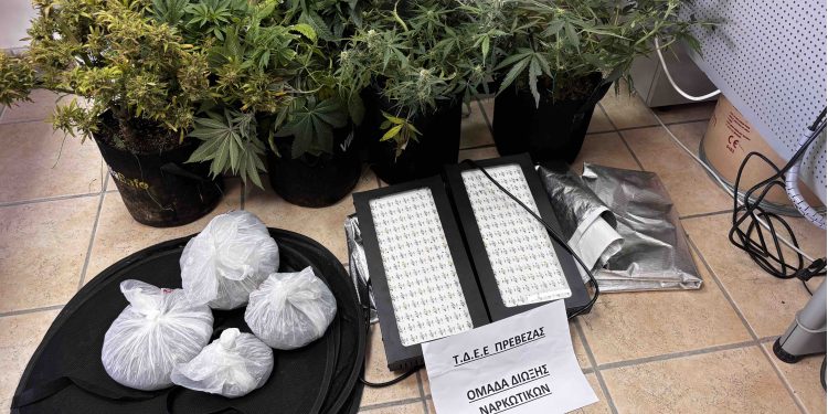 Συνελήφθη ημεδαπός για καλλιέργειακαι κατοχή ναρκωτικών σε περιοχή της Πρέβεζας