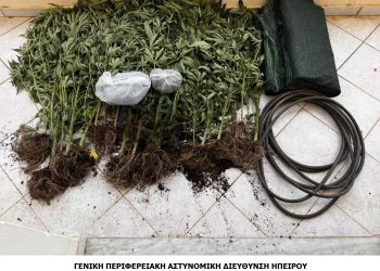 Καλλιεργούσε κάνναβη κοντά στο σπίτι του