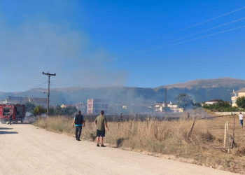 Πυρκαγιά   ξέσπασε πριν από λίγο στα Καρδαμίτσια Ιωαννίνων