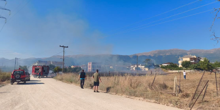 Πυρκαγιά   ξέσπασε πριν από λίγο στα Καρδαμίτσια Ιωαννίνων